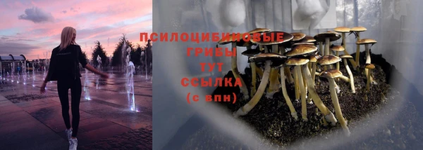 таблы Алексин