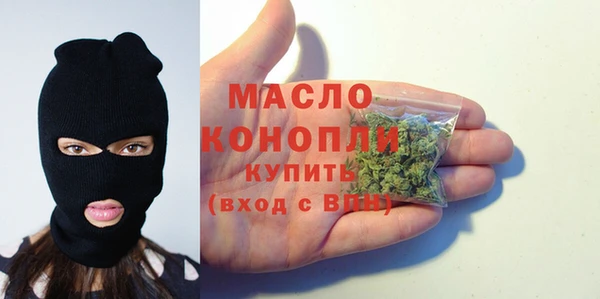 прущие грибы Абаза