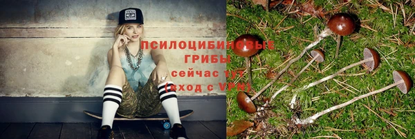 таблы Алексин